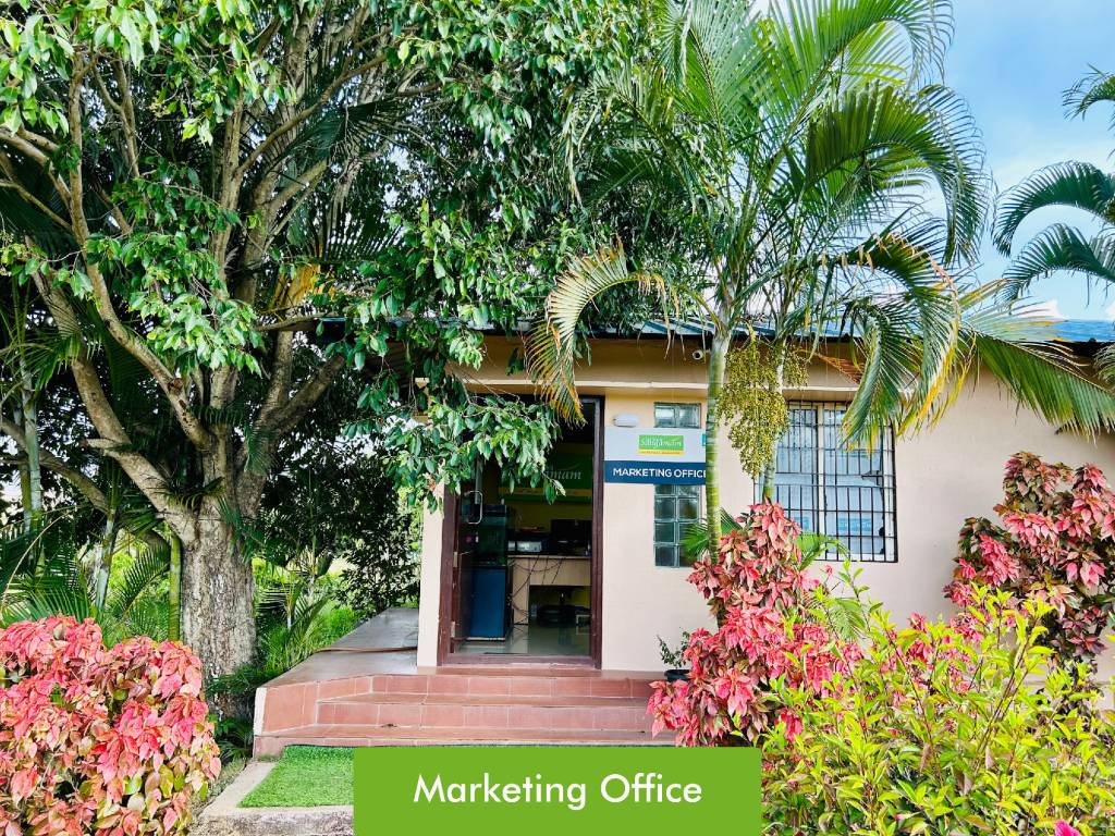  srushti sangamam Others