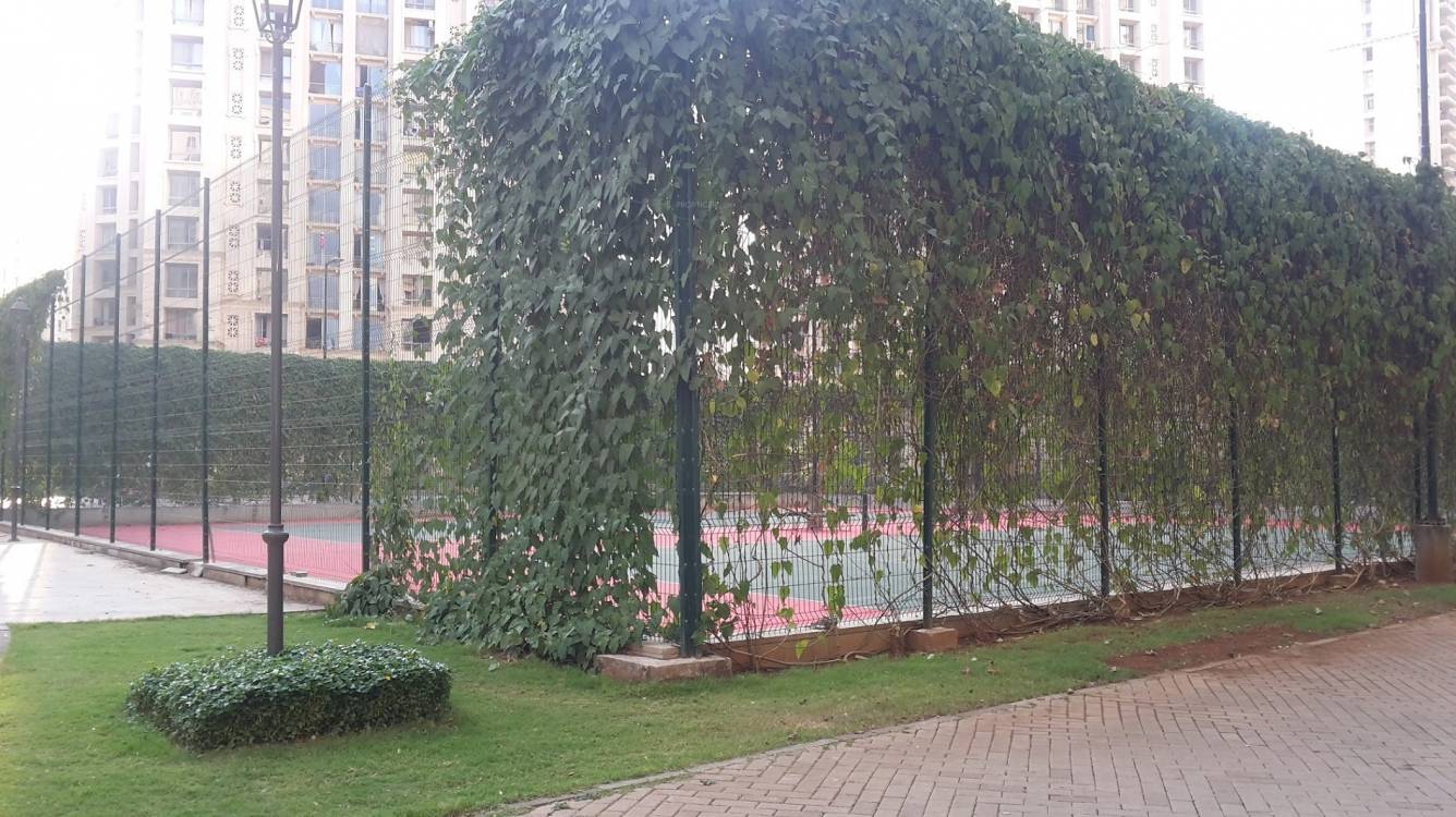 Images for amenities