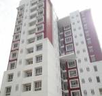  swan-court Elevation