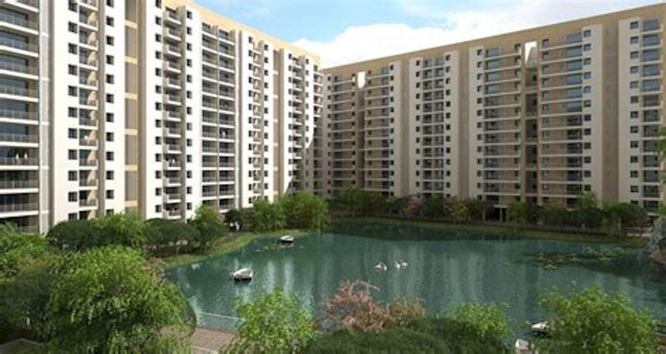  swan court Images for Project