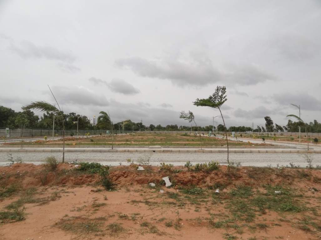 greens Images for Amenities of Cybele Greens