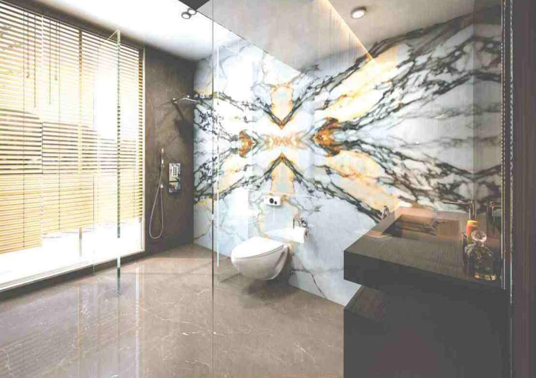  eclat Images for Main Other of RNA NG Eclat