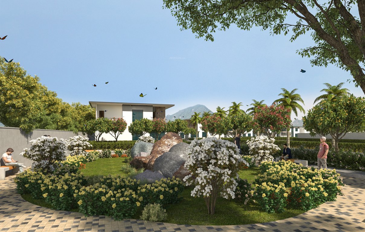 hills view Flower Garden