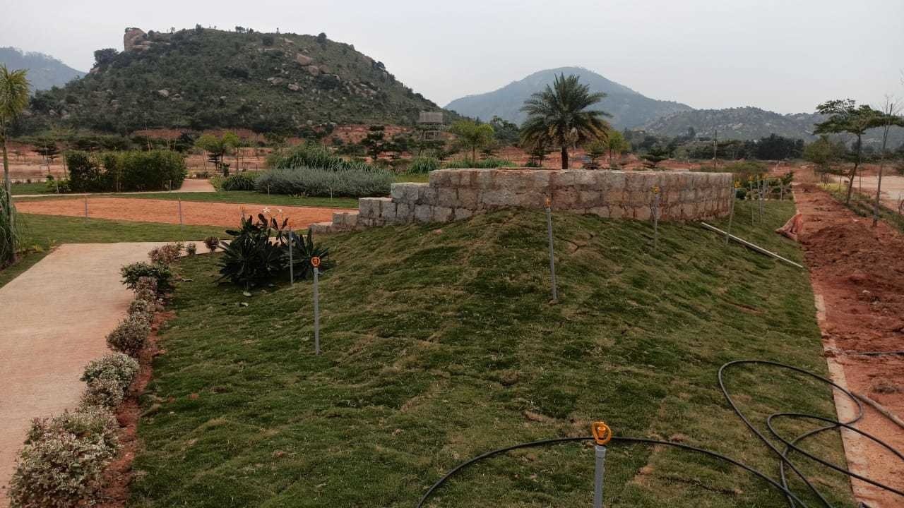 hills view Plot