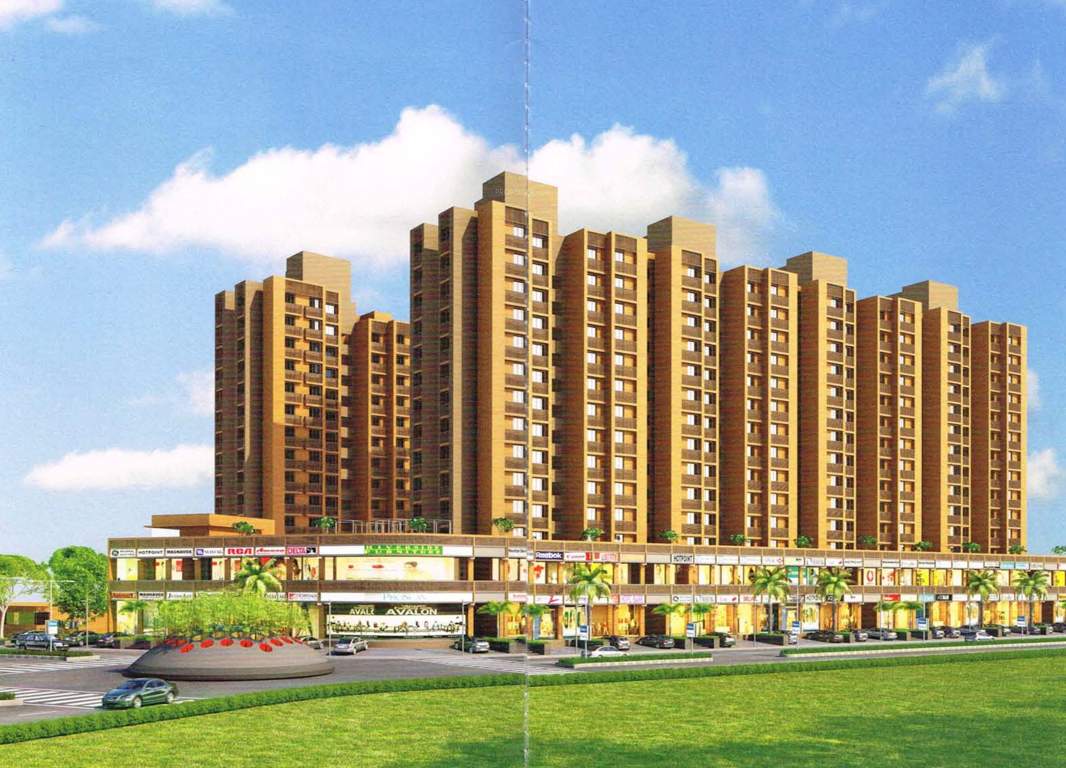  marigold Images for Elevation of Gala Marigold