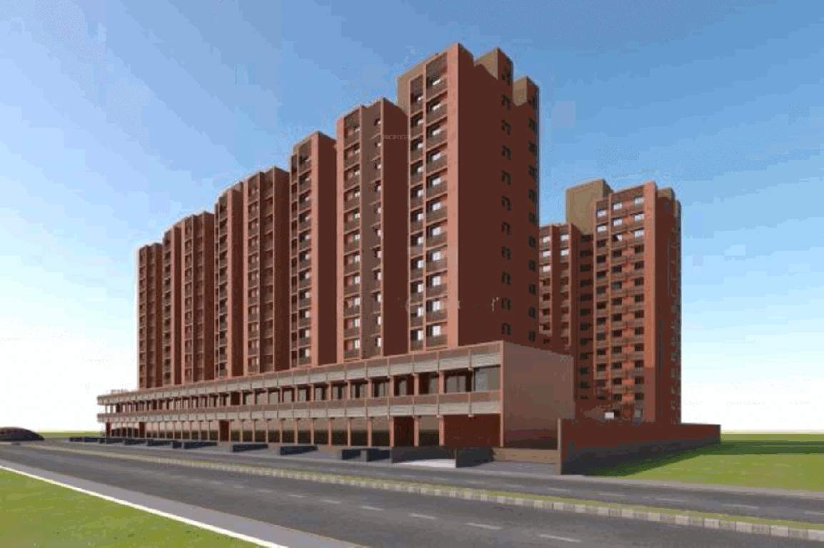  marigold Images for Elevation of Gala Marigold