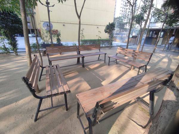 Senior Citizen Sitout marigold Senior Citizen Sitout