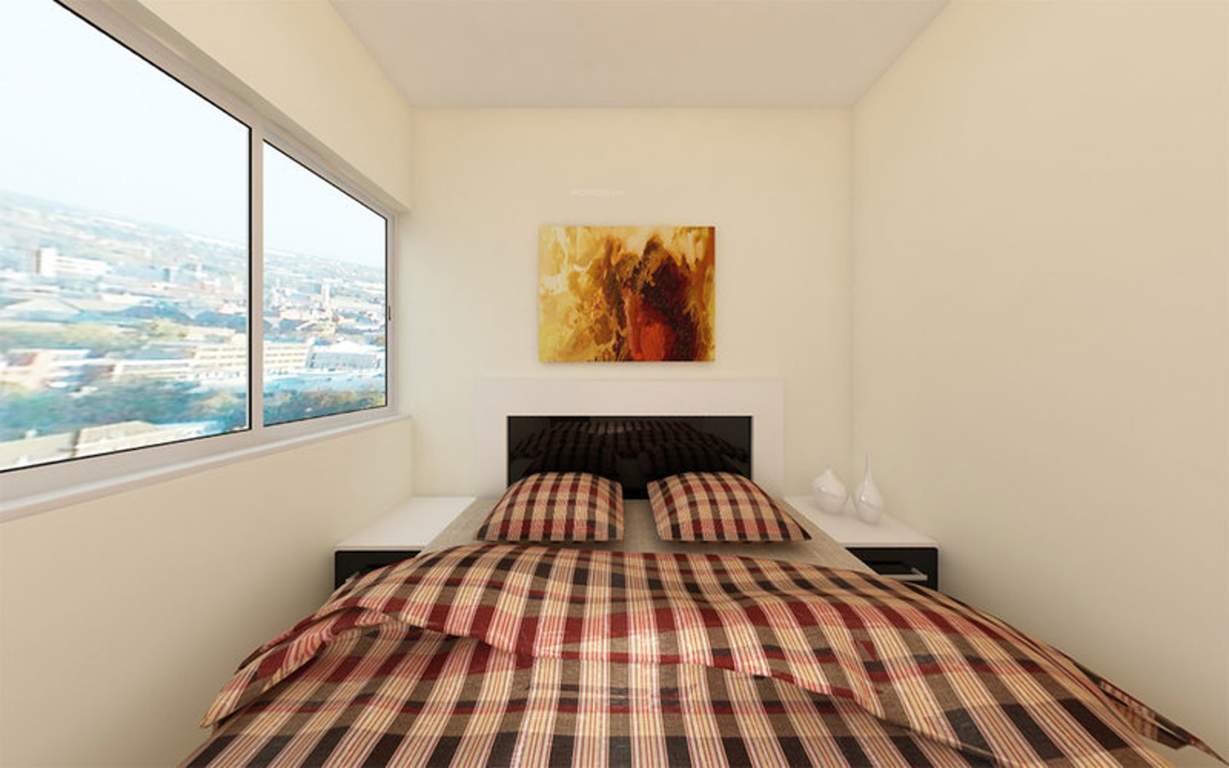  marigold Images for Main Other of Gala Marigold