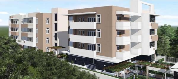 Images for Elevation of Saroj Daffodils daffodils Images for Elevation of Saroj Daffodils