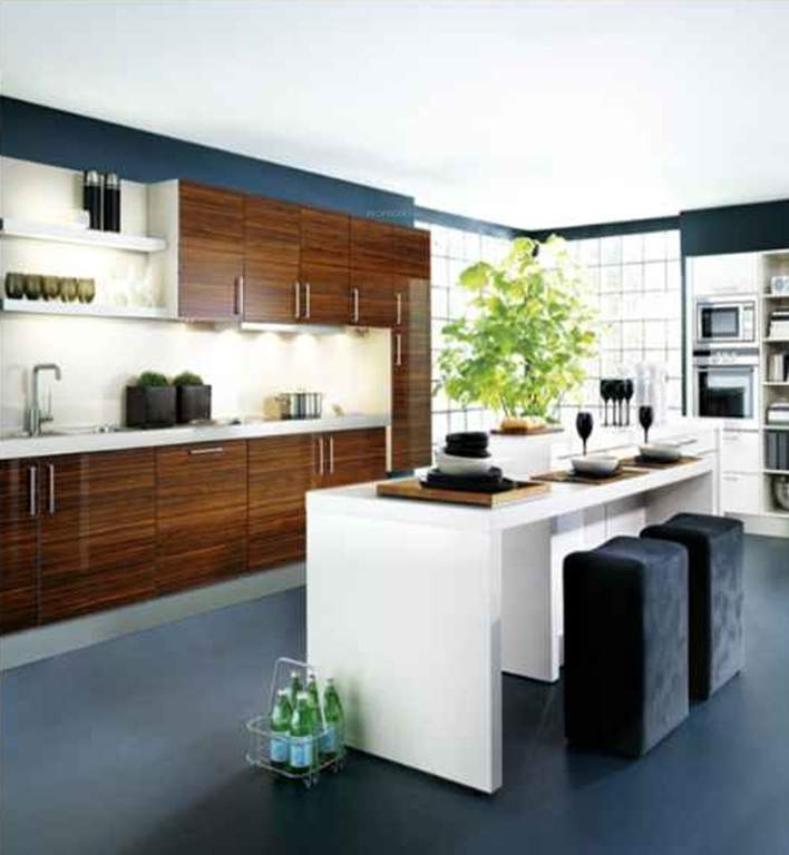 daffodils Images for Main Other of Saroj Daffodils