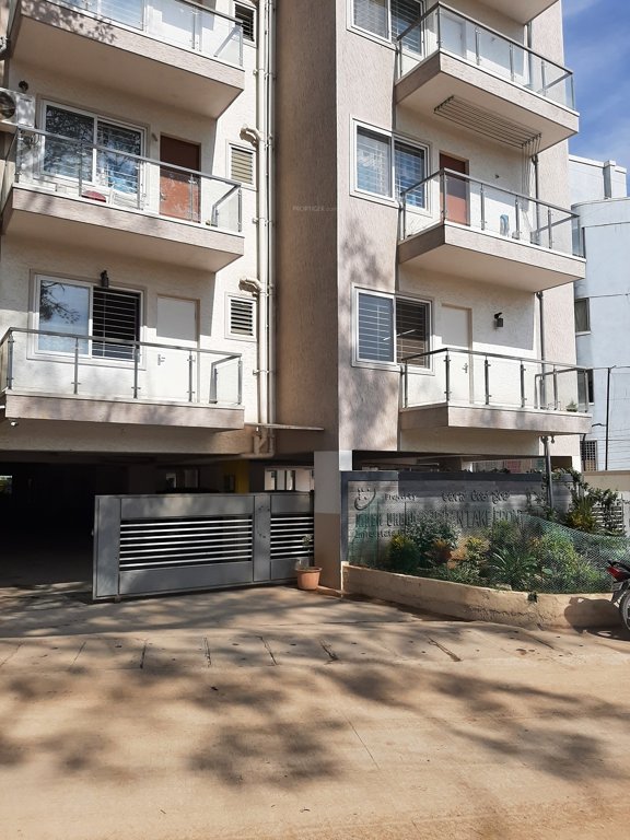 urban lake front Elevation