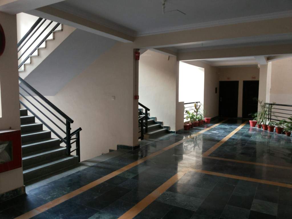 Images for Main Other of Krishna Super Greens