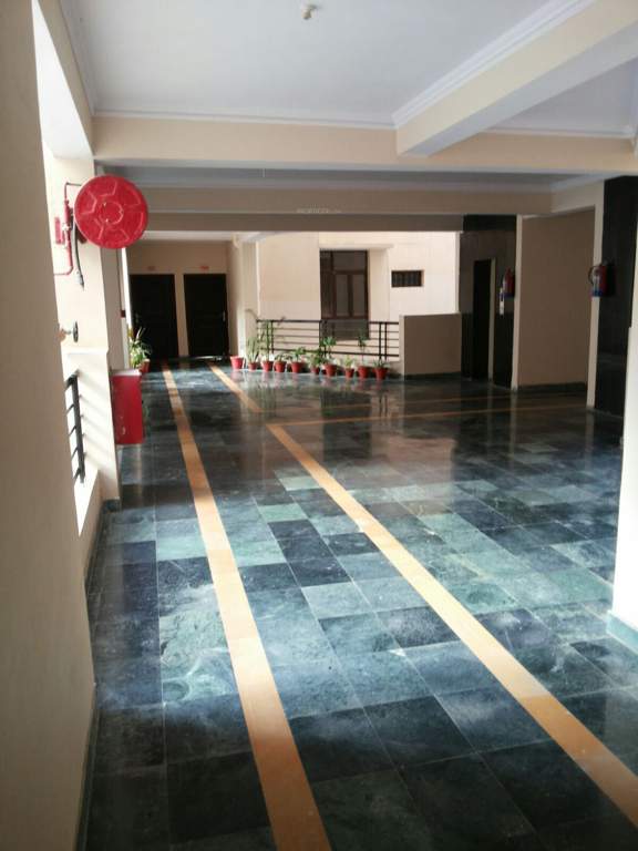 Images for Main Other of Krishna Super Greens