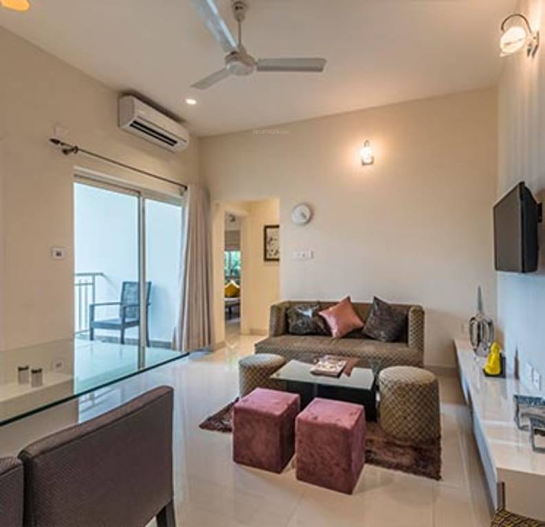 Images for Main Other of Srijan Eternis