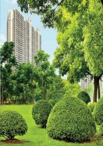 Images for Elevation of Indiabulls Infraestate Limited Park Images for Elevation of Indiabulls Infraestate Limited Park