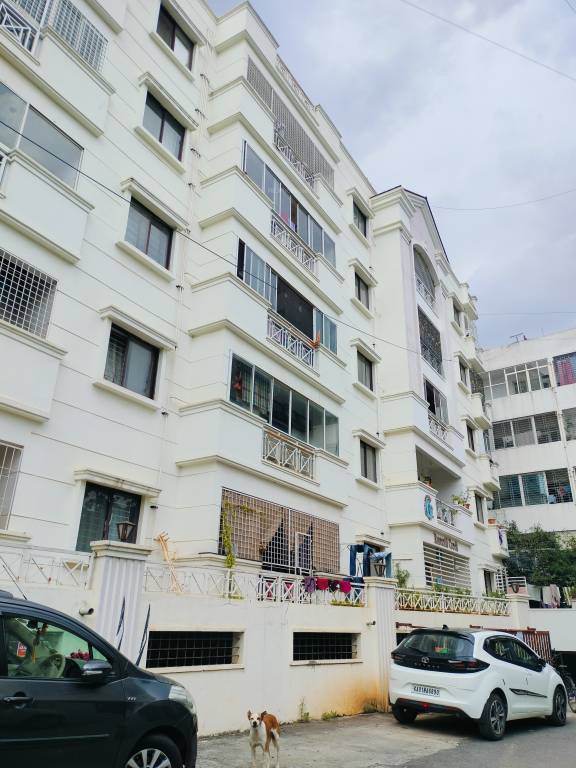  emerald creek Elevation