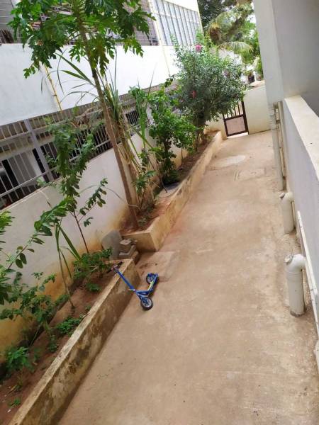  emerald-creek Images for amenities