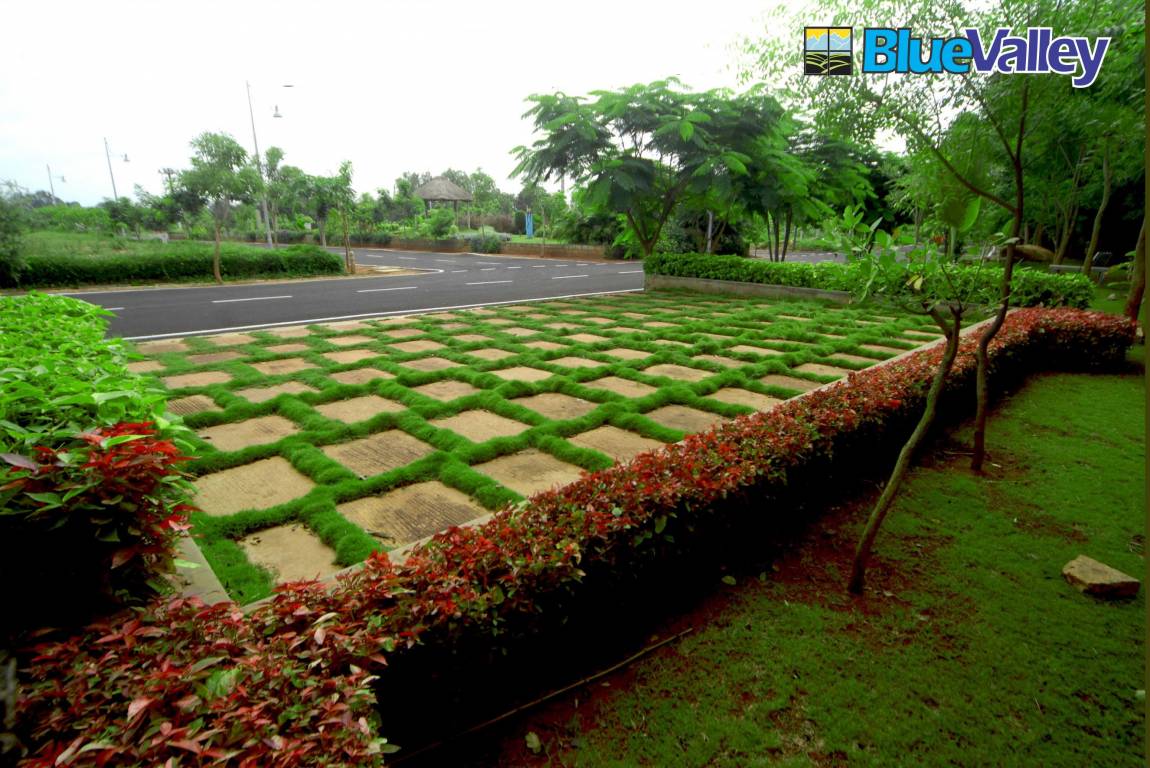 Images for Amenities of Blue Cranberry Gardens