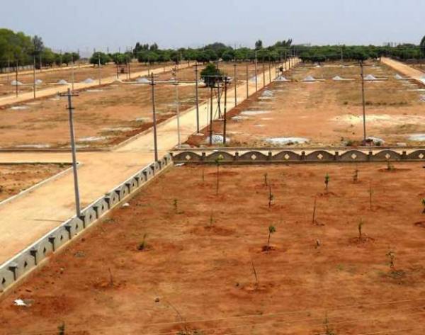 Images for Amenities of Maxworth North Park