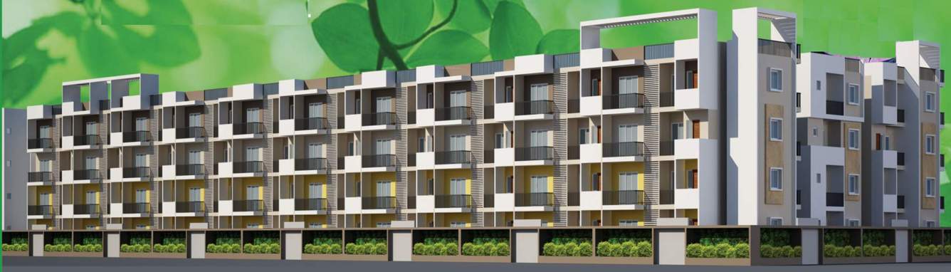  meadows Images for Elevation of SV Meadows