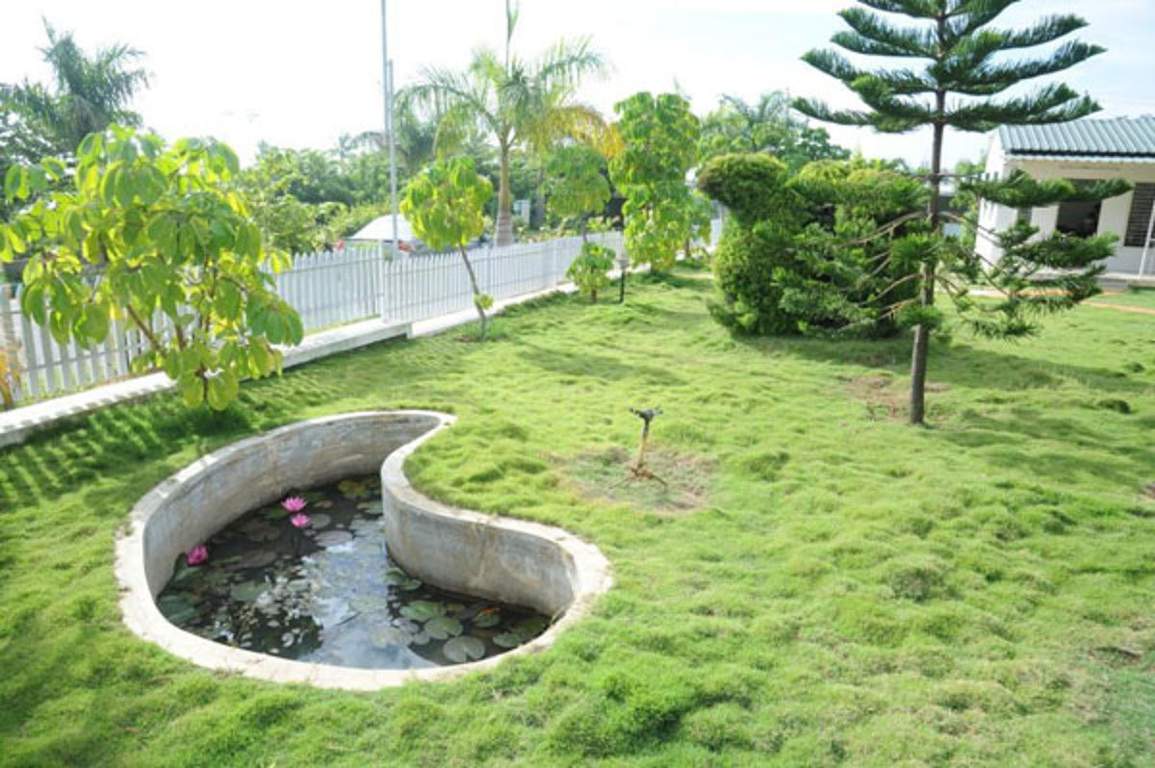 Images for Main Other of MSK Nandi View III