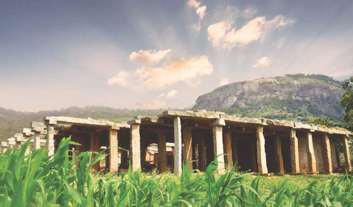 Images for Main Other of MSK Nandi View III