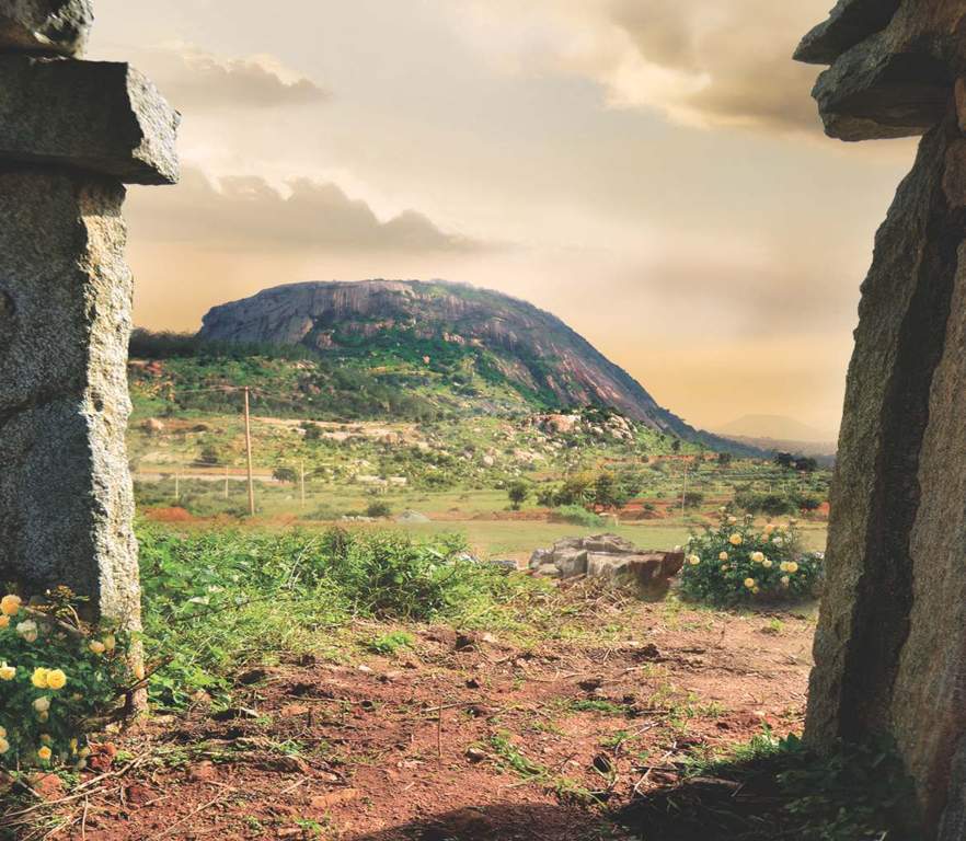 Images for Main Other of MSK Nandi View III