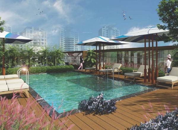  sparkling-wings Swimming Pool