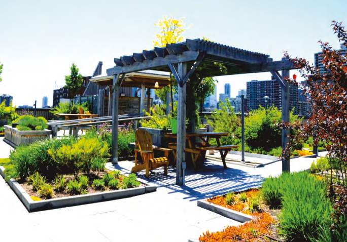  manikchand 117 ff Terrace Garden