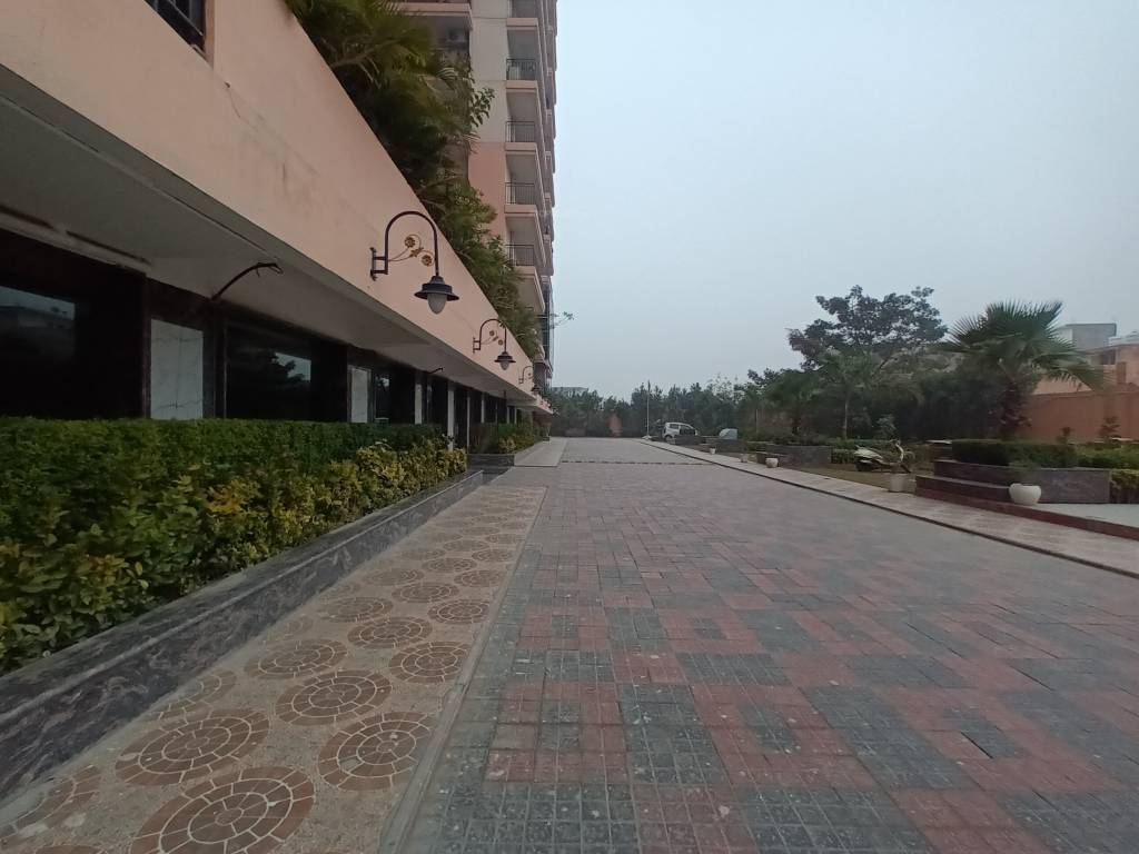 Parakh The Golden Gate