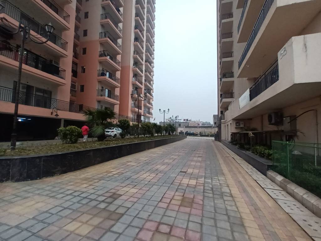 Parakh The Golden Gate