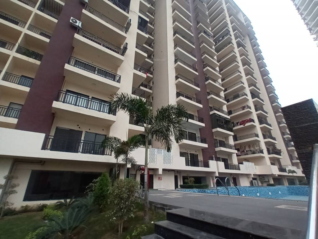 Parakh The Golden Gate