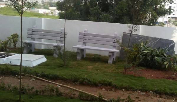  aryamitra-grasshopper Others