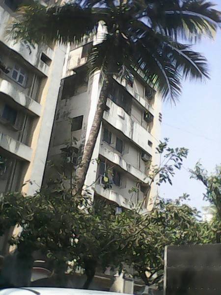 Images for Elevation of Reputed Builder Anita Kutir