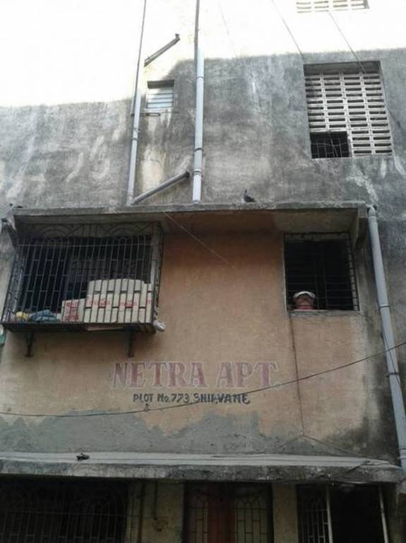 Images for Elevation of Reputed Netra Apartment