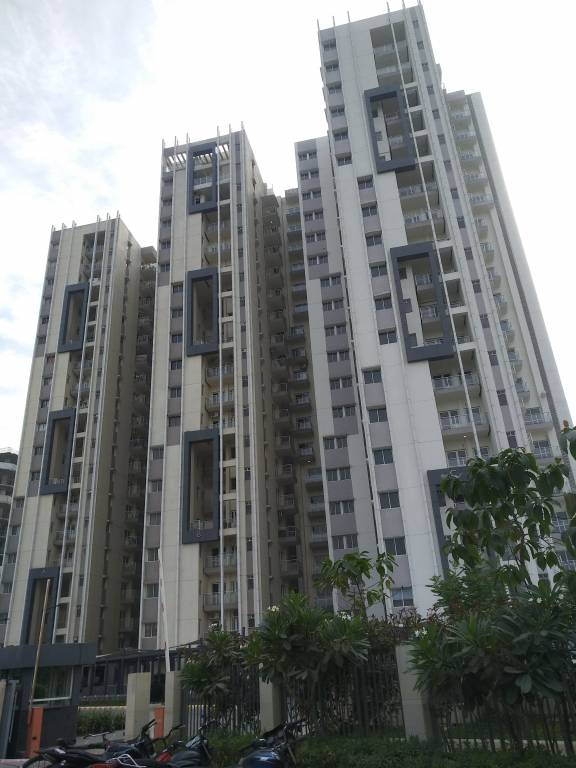  isle de royale Images for Project