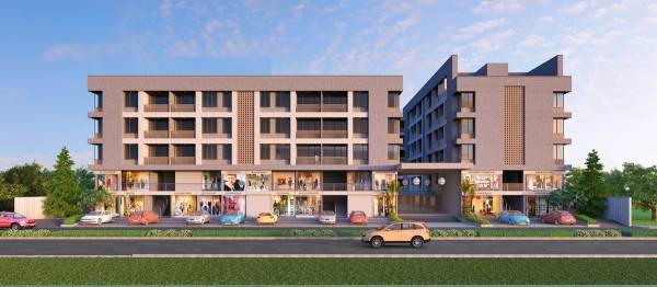  orchid-blossom Elevation