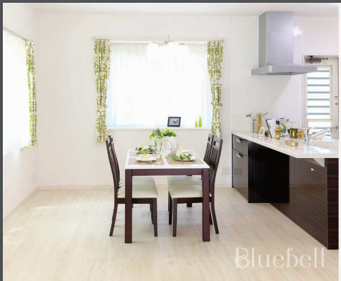 blue bell Living Area