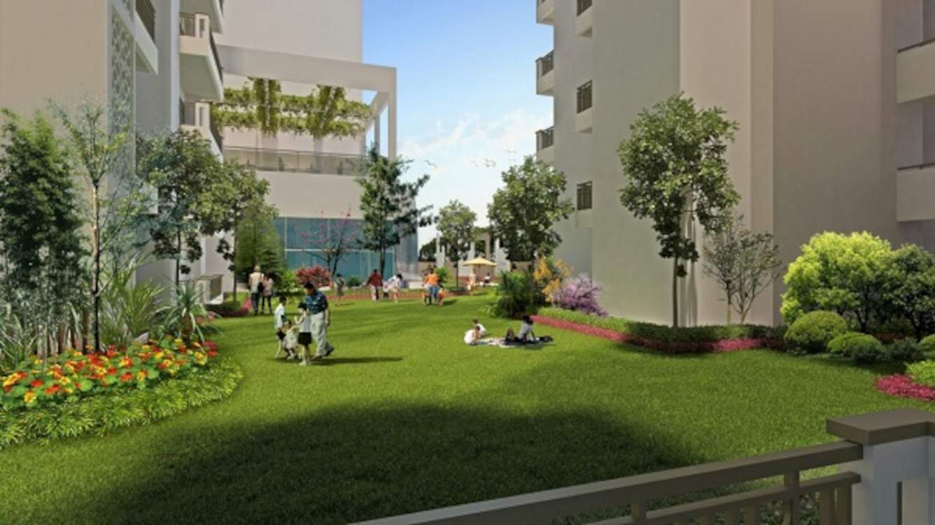 city Landscape Garden and Tree Planting