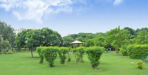 Others golf-town Others