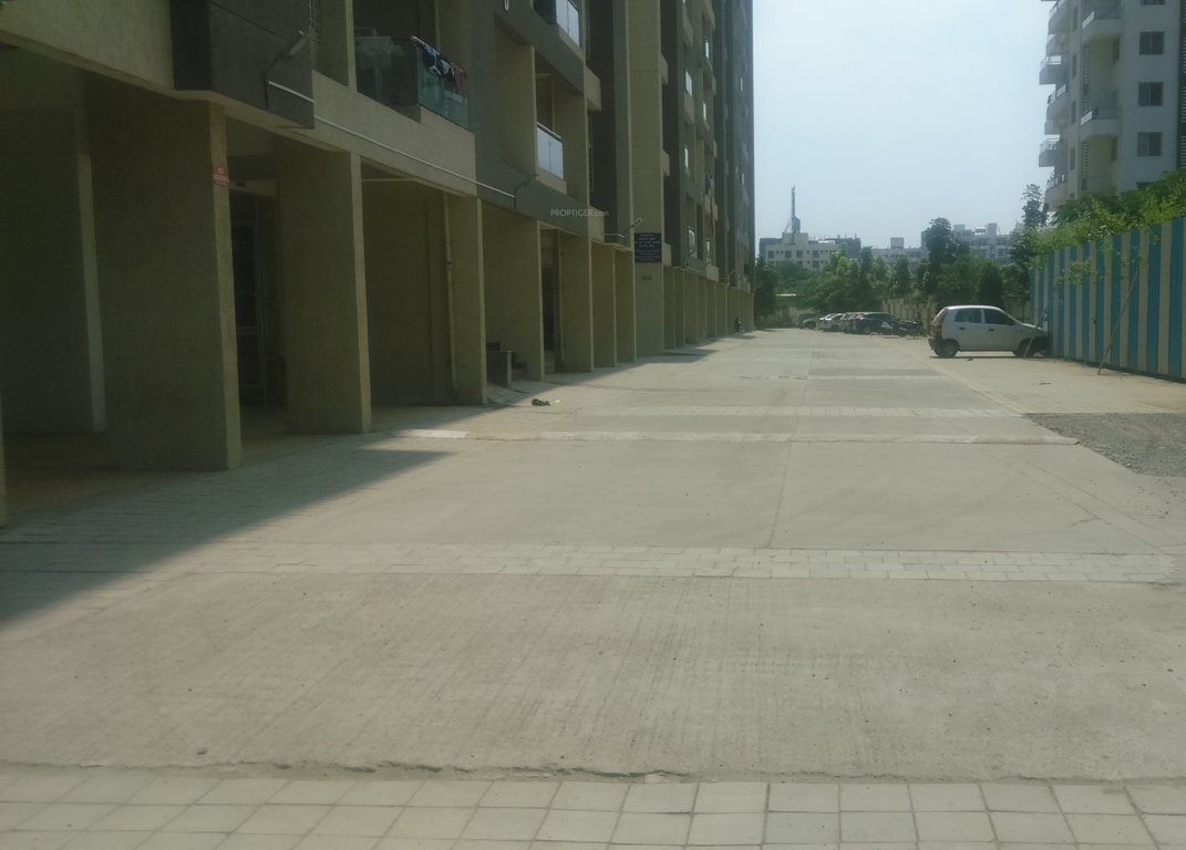 Goel Ganga Ganga Cypress