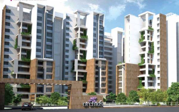 Images for Project orchids Images for Project