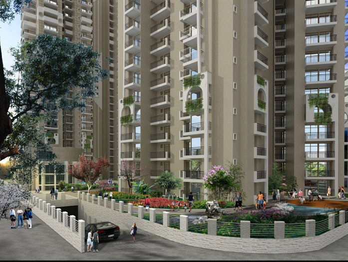  imperial greens Others