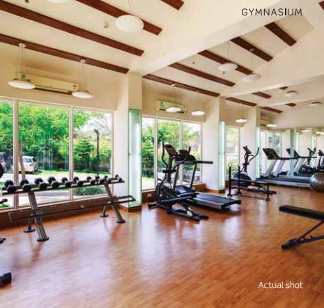  purva highlands Gymnasium