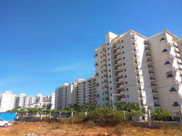 Elevation woodland-heights Elevation