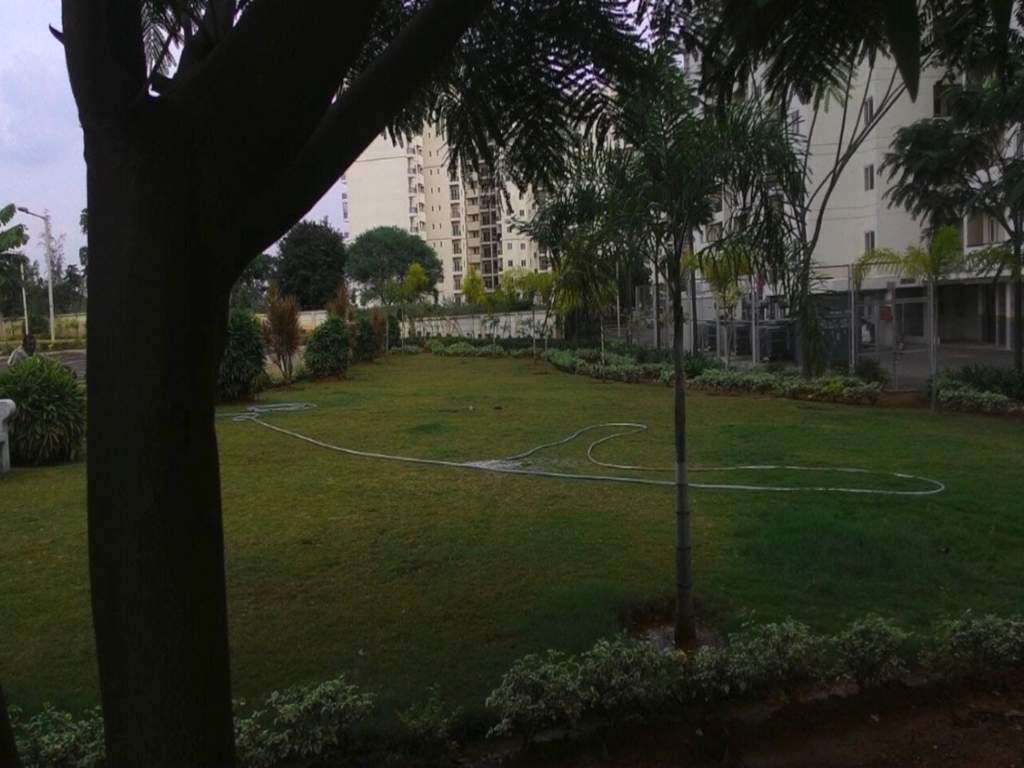  woodland heights Landscaped Gardens