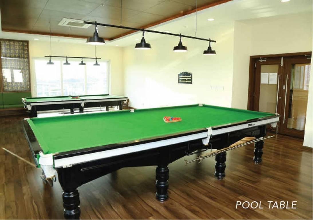 purva windermere Indoor Games