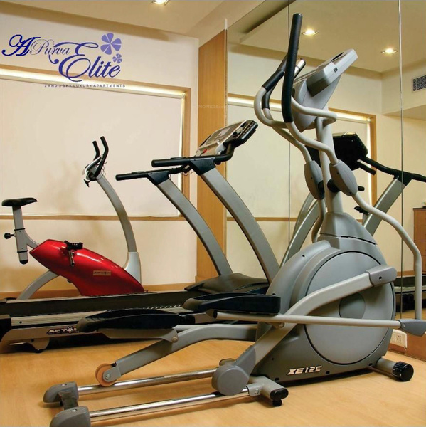 Gymnasium life Gymnasium