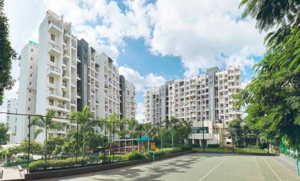 Elevation prolife-ii Elevation