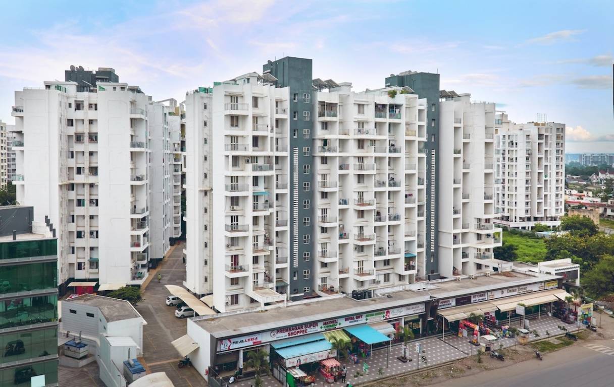  prolife ii Elevation